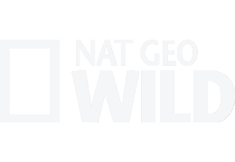 Nat Geo Wild